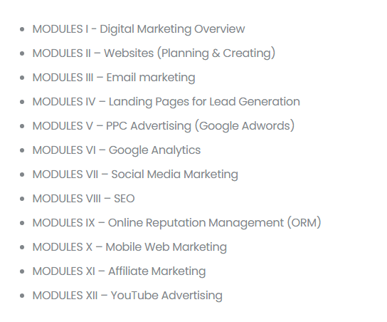 vpm-digital-marketing-course-in-thane-modules