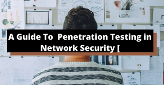 A Guide To Penetration Testing in Network Security