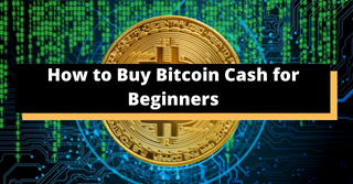 How to Buy Bitcoin Cash for Beginners