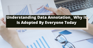 Understanding Data Annotation: Why Is It Adopted By Everyone Today?